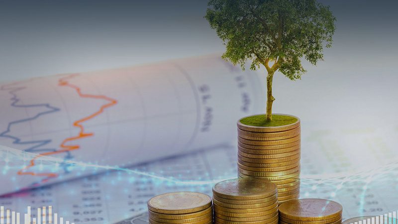 环境尽职调查：中小企业如何合理控制费用**